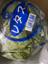 ケイネット レタス