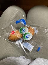 あさの しょうが 1P