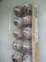 JA豊橋 洗浄うずら 10個