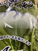高山 ほうれんそう 200g