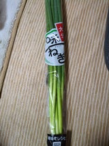 JA大分 味一ねぎ