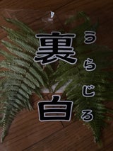 イケダ 裏白 5枚