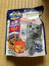 コンボPキャット おやつ 腎臓の健康維持 42g