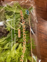 神印 ピーマン 1P