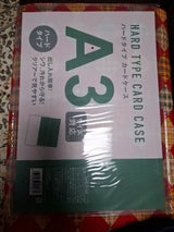 サンノート カードケース 硬質タイプ A3