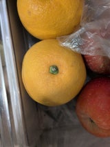 ユーシーポリマー はっさく用袋