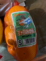 名織 静経連三ケ日みかん 1P