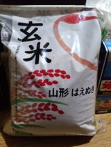 カカシ米穀 玄米山形はえぬき 5kg