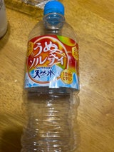 サントリー 天然水 うめソルティ 540ml