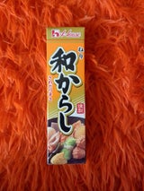 ハウス ねり和からし 43g