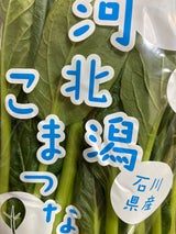 JA石川 小松菜河北潟 200g