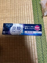 花王 ピュオーラ 炭酸ハミガキ 95g