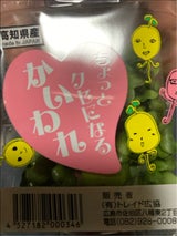 トレイド ヒロ印かいわれだいこん 1P