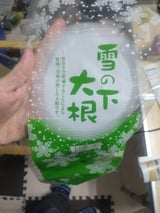 山二辻 雪の下大根 1本