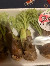 JA山形 たらの芽 50g