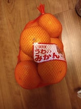 ユーシーポリマー 愛媛県産みかん M