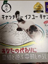 猫壱 キャッチミーイフユーキャン2 猫のお庭