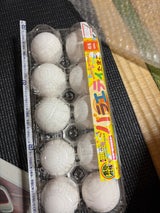 アキタフーズ バラエティたまご 10個