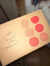 宝物産 りんごとバターフィナンシェ 6個