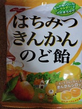 ノーベル製菓 はちみつきんかんのど飴 110g