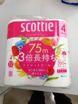 スコッティ フラワーパック 3倍長持ち 4ロール(ダブル)