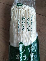 加藤えのき えのき