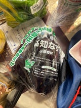 高知県園芸連 なす エコシステム栽培 5個