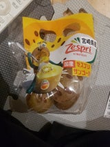 パックネット トロピカル サンゴールドキウイ 4個