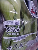 高橋 チンゲン菜