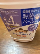 キレイキレイ薬用泡ハンドS Fソープ替特大 800