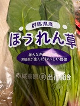 東群 群馬産ほうれん草 250g