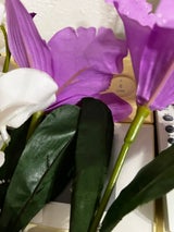 九州フラワー カトレア 1P