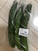 JA館林 きゅうり 袋