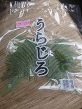 太洋 うらじろ 小