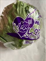 JA全農いばらき レタス