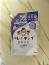 キレイキレイ薬用泡ハンドS フローラルS替大450