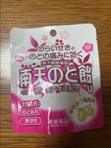 南天のど飴U 22錠