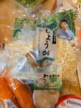 カントン 高知産生姜 100g