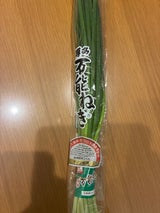 JA福岡 博多万能ねぎ 100g