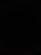 NIPPON PREMIUM愛媛いよかん350ml