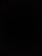 カネカ 朝飯めかぶ 40g×3