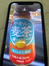 コカコーラ やかんの麦茶 加温 440ml