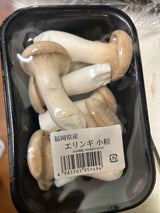 ホクト エリンギ M