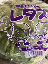 諸川 レタス 1P