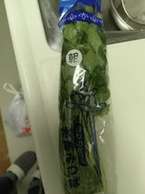 丸朝園芸 水耕みつば M 50g