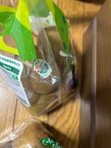 創工社 Gキューイフルーツ用袋