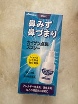 カイゲン点鼻スプレー 30ml