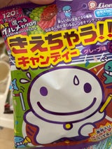 ライオン菓子 きえちゃうキャンディー 79g