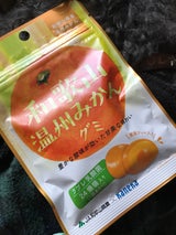 カネカ食品 和歌山温州みかんグミ 40g