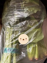 マルエイ ほうれんそう 1P